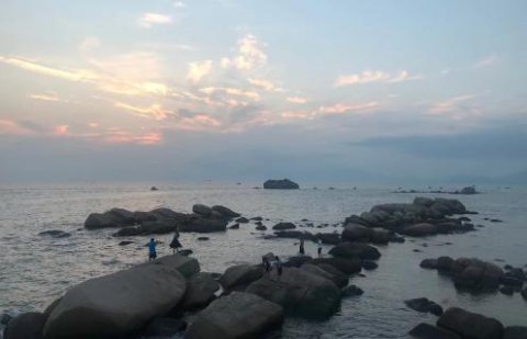 巨星国际：新的经营模式应当立足在商业模式之上